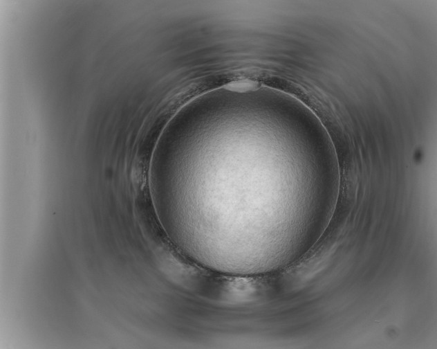 X0000095520091200712211312