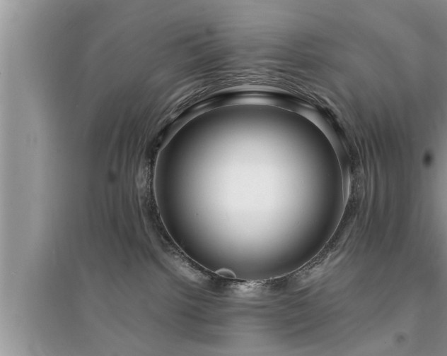 X0000095520092200712211312