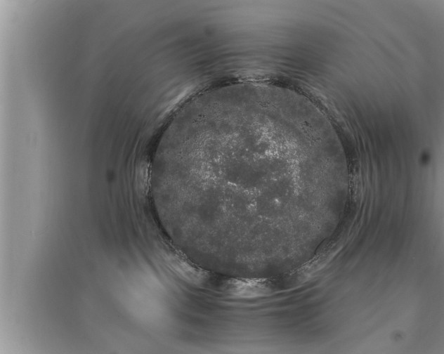 X0000095520093200712211312