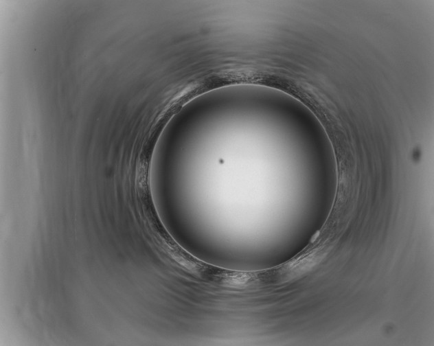 X0000095520096200712211312