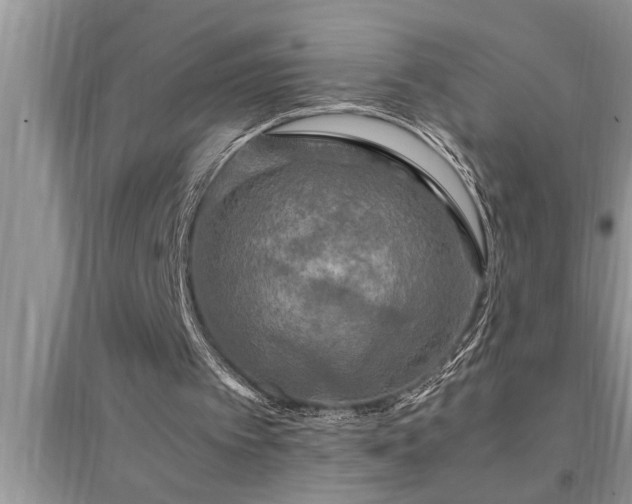 X0000095520097200712211312