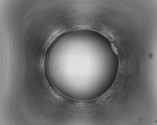 X0000095520098200712211312