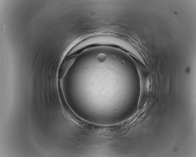 X0000095520100200712211312