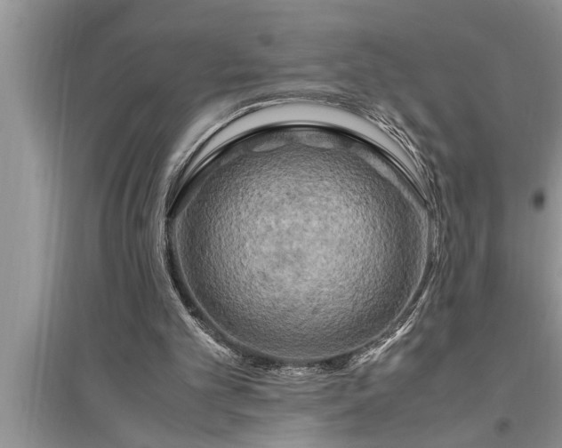 X0000095520101200712211312