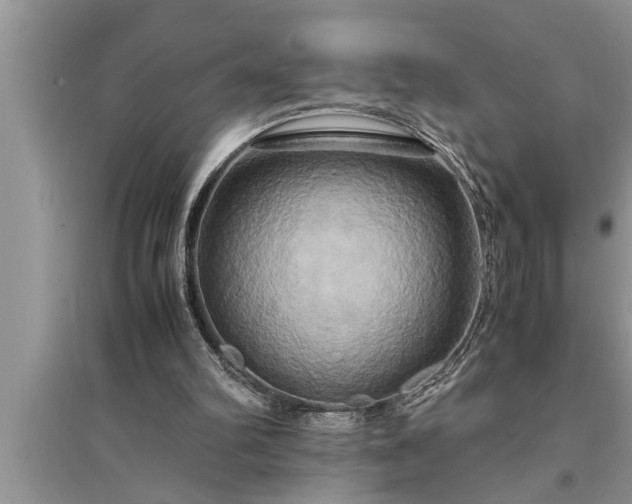 X0000095520102200712211312