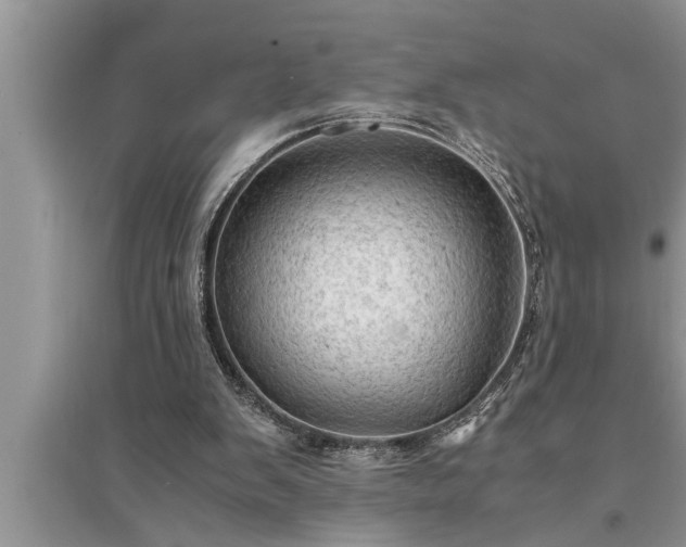 X0000095520103200712211312