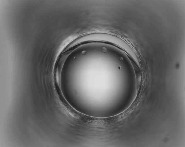 X0000095520104200712211312