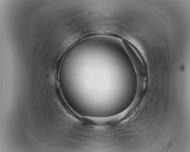 X0000095520105200712211312