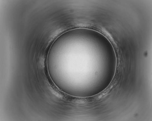 X0000095520106200712211312