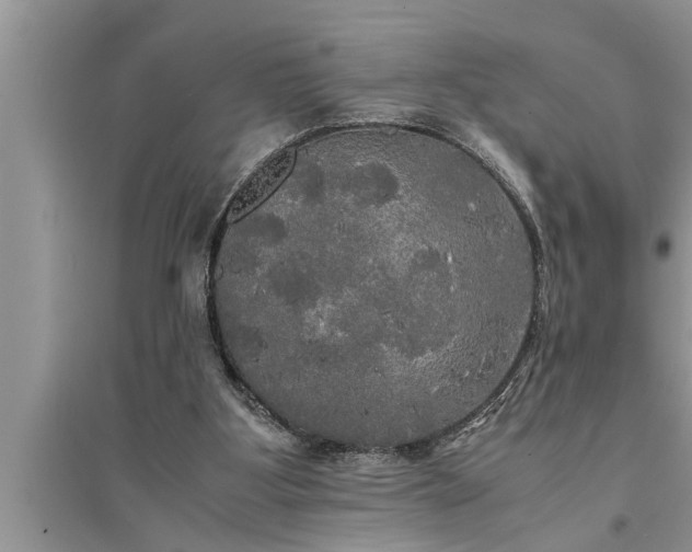 X0000095520107200712211312