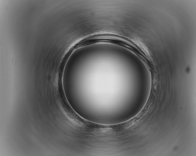 X0000095520108200712211312