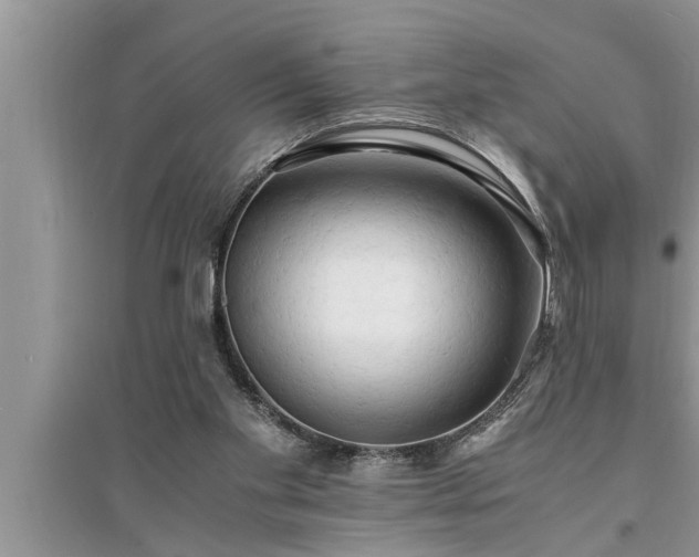 X0000095520109200712211312