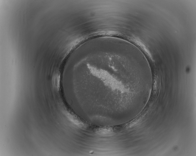 X0000095520110200712211311