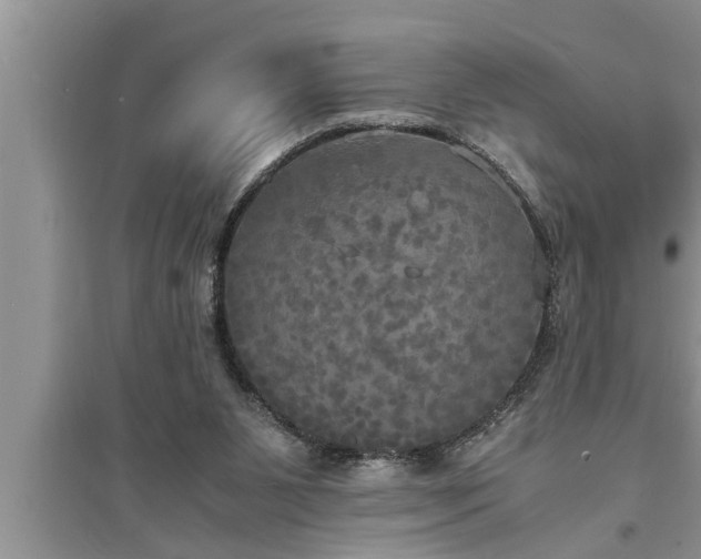 X0000095520111200712211311