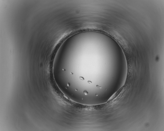 X0000095520112200712211311