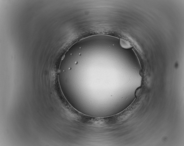 X0000095520113200712211311