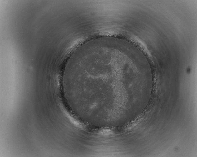 X0000095520114200712211311