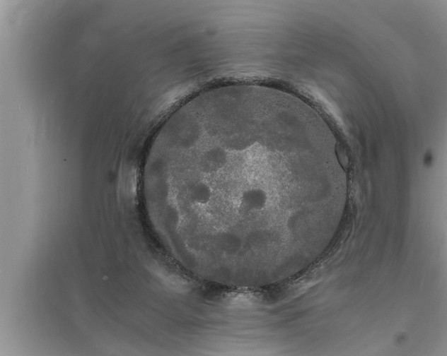 X0000095520115200712211311