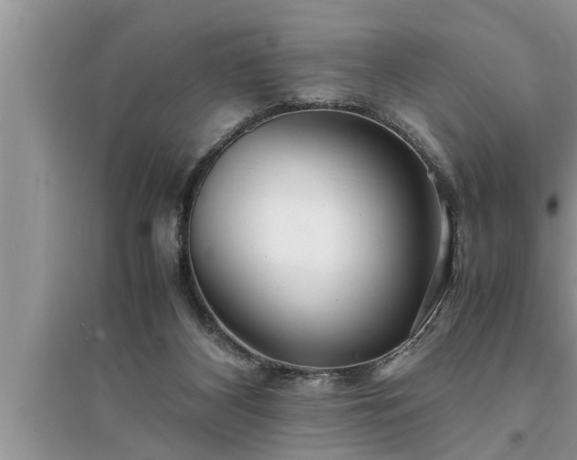 X0000095520116200712211311