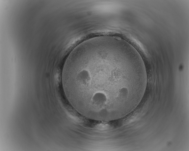 X0000095520119200712211311