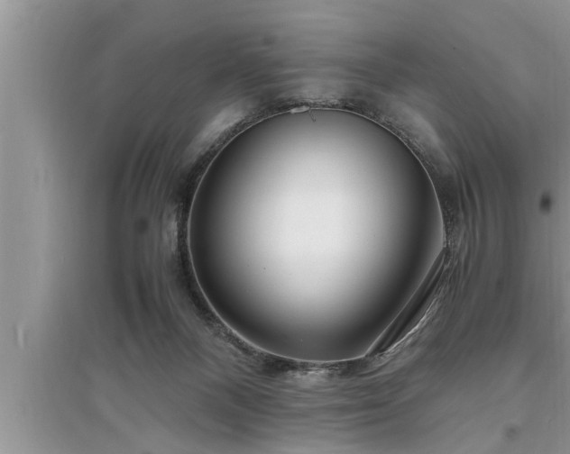 X0000095520120200712211311