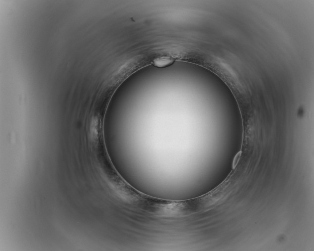 X0000095520122200712211311