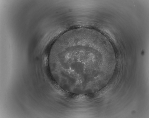 X0000095520123200712211311