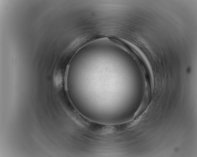 X0000095520124200712211311