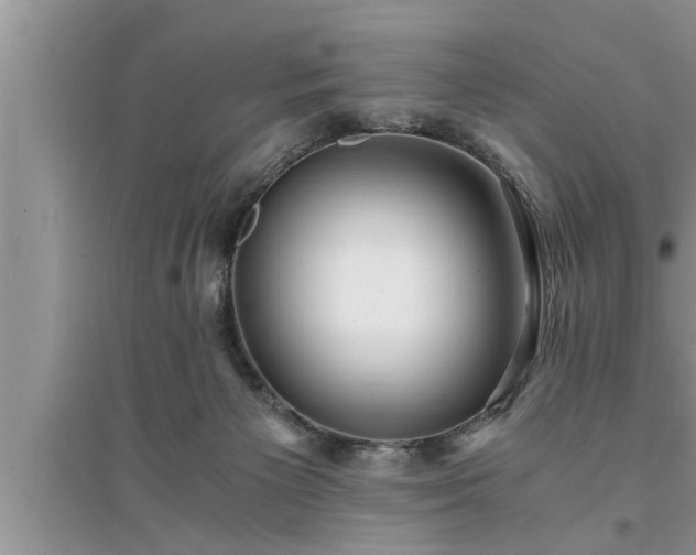 X0000095520125200712211311