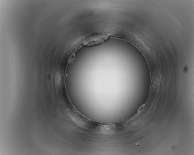 X0000095520126200712211311