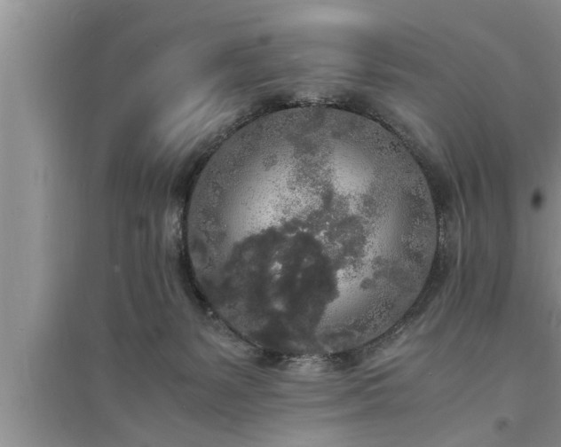 X0000095520127200712211311