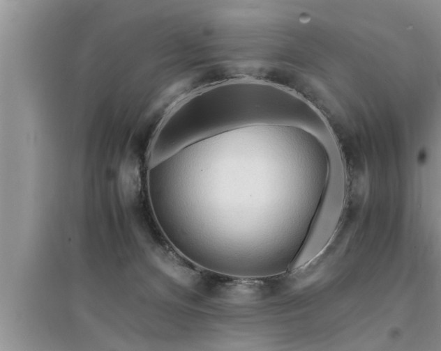 X0000095520128200712211311