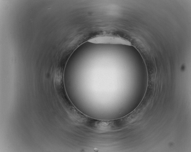 X0000095520129200712211311