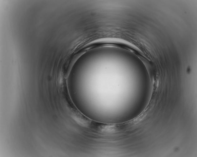 X0000095520132200712211311