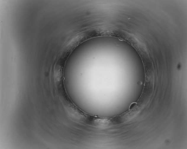 X0000095520133200712211311