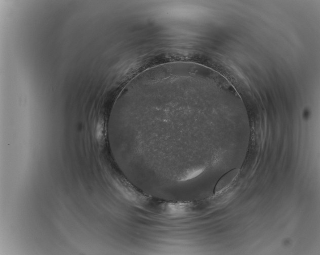 X0000095520134200712211311