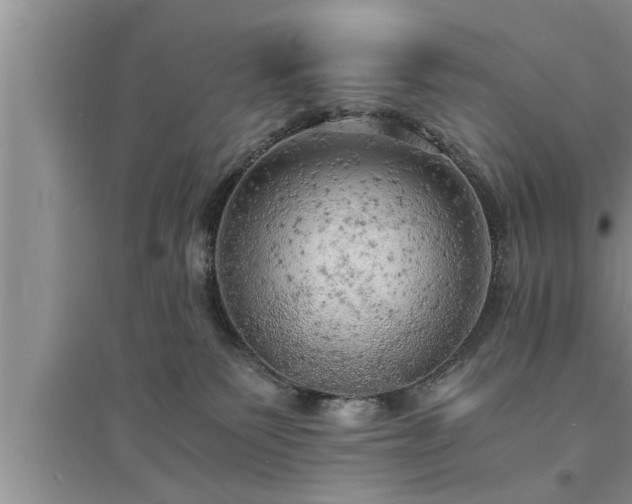 X0000095520135200712211311