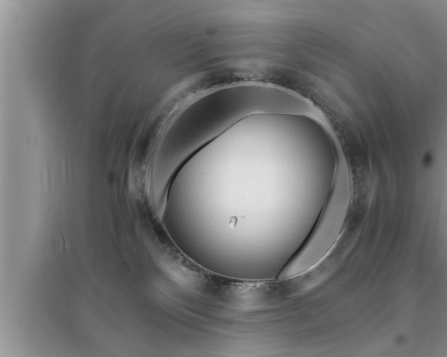 X0000095520136200712211311