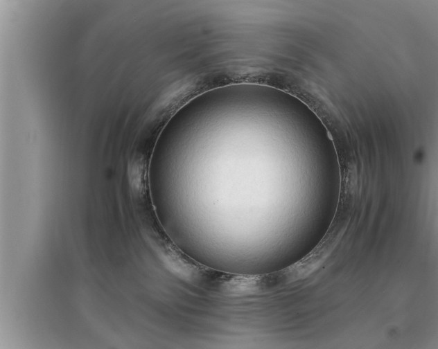 X0000095520138200712211311