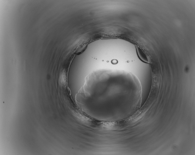 X0000095520143200712211311