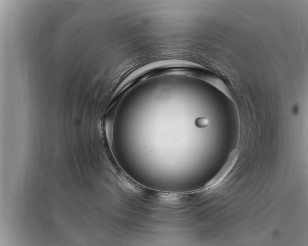 X0000095520144200712211311