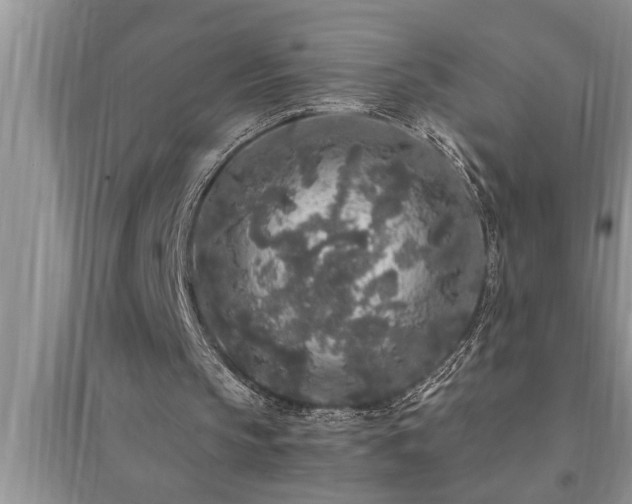 X0000095520145200712211310