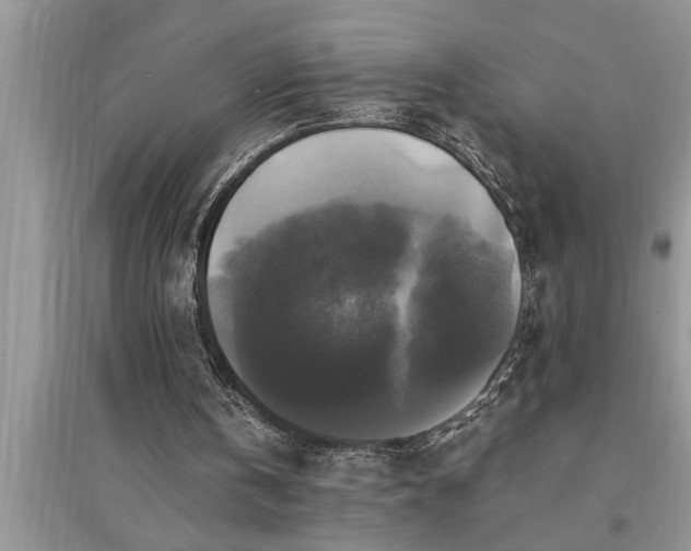 X0000095520146200712211310