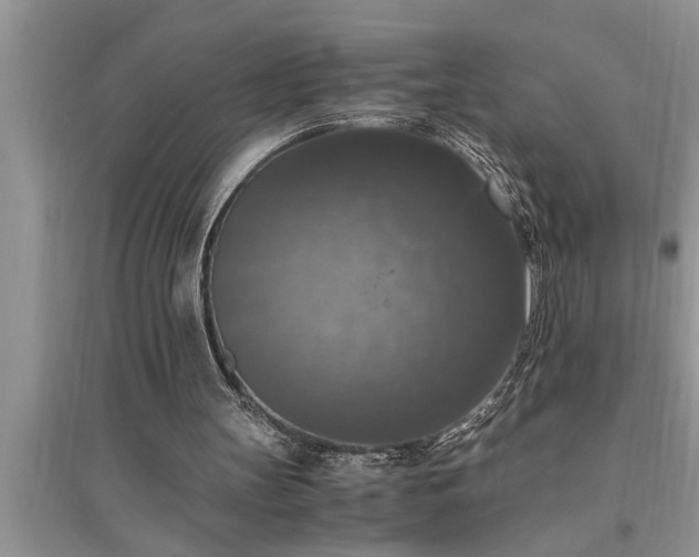 X0000095520147200712211310