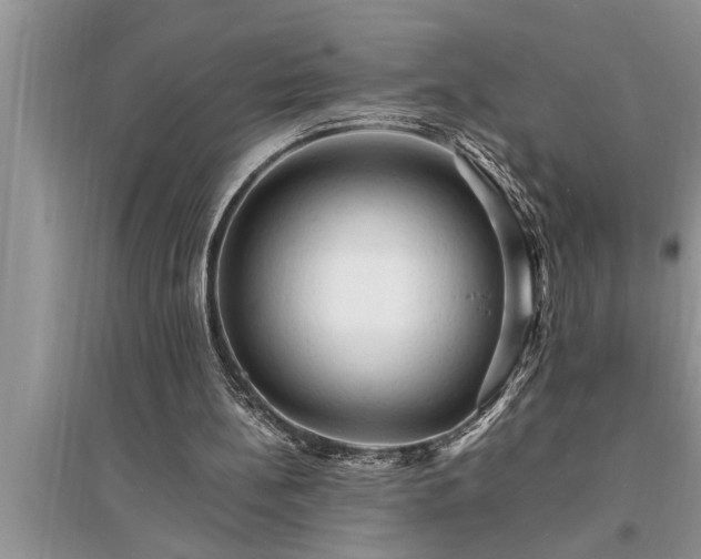 X0000095520148200712211310