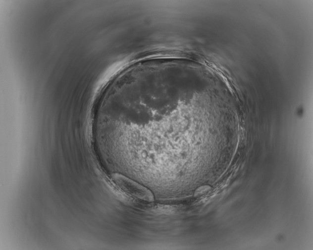 X0000095520149200712211310