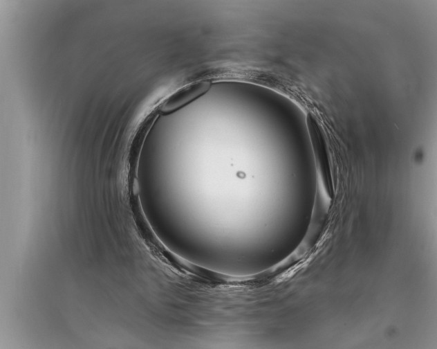 X0000095520150200712211310