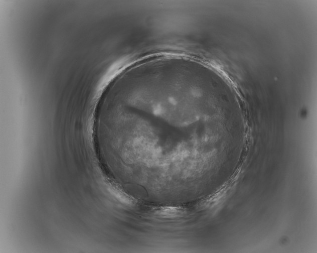 X0000095520151200712211310