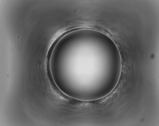 X0000095520152200712211310