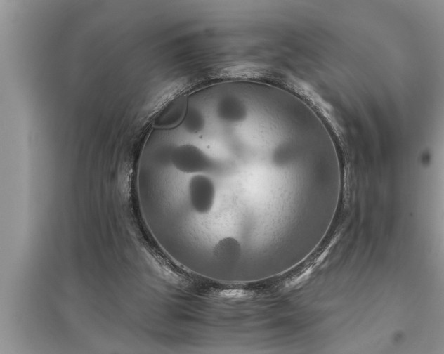 X0000095520153200712211310